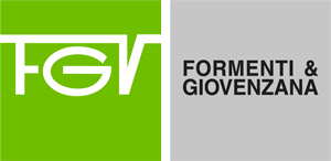 logo_FGV_color